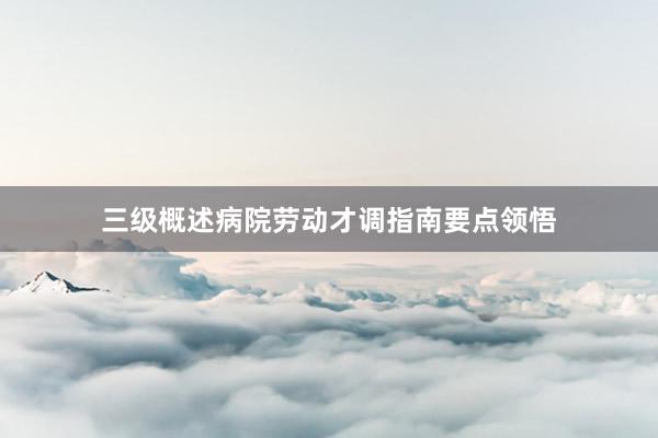 三级概述病院劳动才调指南要点领悟